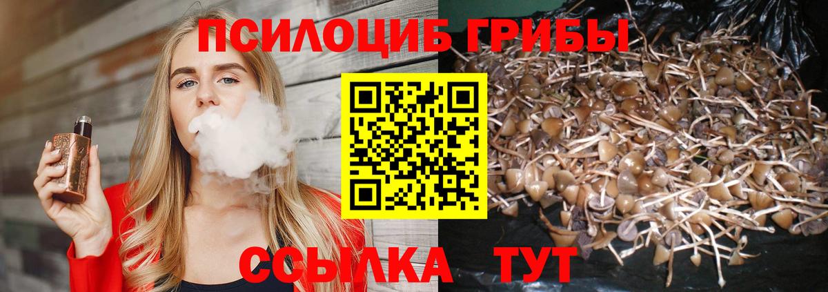 купить наркотик  Вход с VPN  Галлюциногенные грибы мицелий  Хабаровск  Галлюциногенные грибы мухоморы 